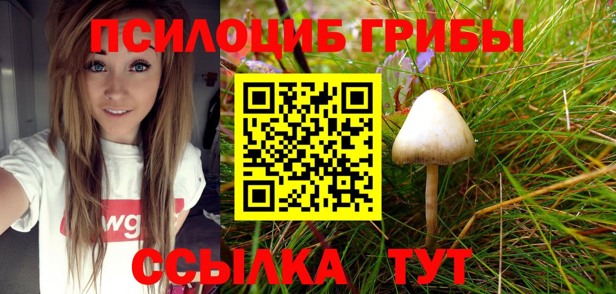 Псилоцибиновые грибы Magic Shrooms Наро-Фоминск