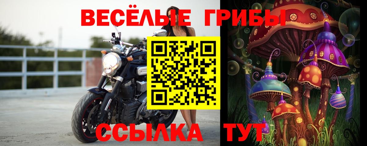 Псилоцибиновые грибы MAGIC MUSHROOMS  Вход с VPN  Наро-Фоминск 